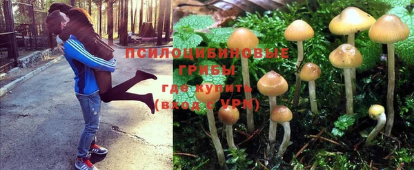 бутират Липки