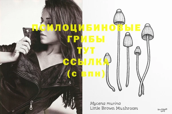 бошки Лиски