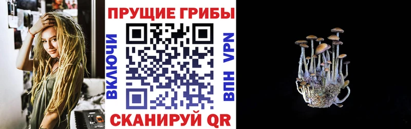 Галлюциногенные грибы MAGIC MUSHROOMS  Суровикино 